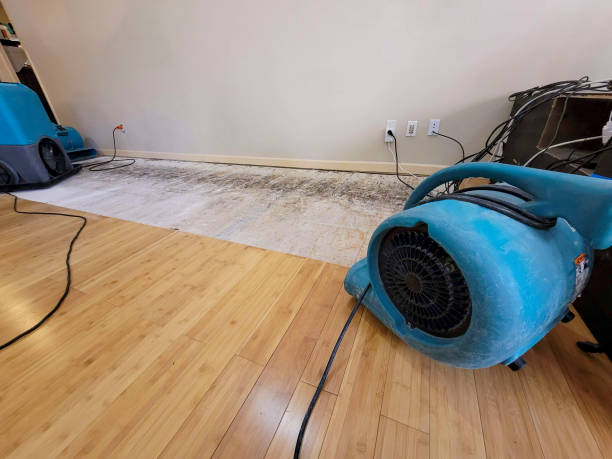Professional Structural Drying technician working in Union, WA